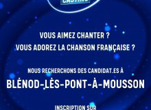 Casting "N'oubliez pas les paroles"