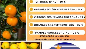 Opération agrumes : vente solidaire