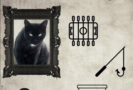 Flash Day Halloween x Bellédocats