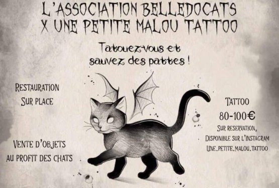 Flash Day Halloween x Bellédocats