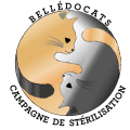 BELLÉDOCATS